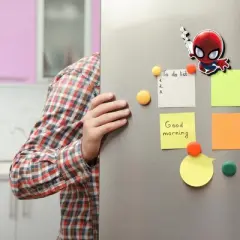 NMR Distribution Marvel Spider-Man Chibi Funky Chunky Magnet