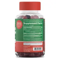 Fungies Lion's Mane Mushroom Focus Vitamin Vegan Gummies - 60ct