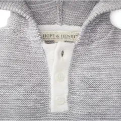 Hope & Henry Boys' Hooded Pullover Sweater, Infant