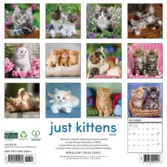 Willow Creek Press 2026 Kittens Wall Calendar