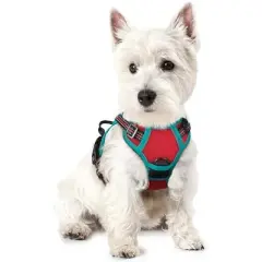 rabbitgoo Dog Harness No Pull with 2 Leash Clips, Control Handle for Puppy, Red & Teal, XS