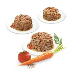 Beneful Incredibites with Chicken, Salmon and Beef Wet Dog Food - 30ct