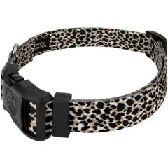 Country Brook Petz Deluxe Cheetah Dog Collar - Made in the U.S.A (1 Inch, Medium)