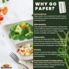 6 Compartment Square Biodegradable Divided Plates - Pack of 1000 - Rani Brand Authentic Indian Products