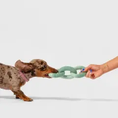 AWOO Felt Link Plush Ring Dog Toy