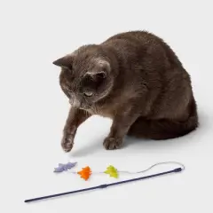 17.5" Bats Cat Wand Toy - Boots & Barkley&trade;