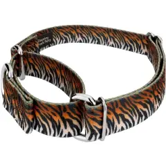 Country Brook Petz Martingale Dog Collar - Animal Prints Collection