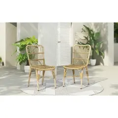 SKRAN Outdoor PE Wicker Patio Dining Chairs Set of 2,Outdoor Rattan chairs for Backyard,Poolside,Garden, NATURAL