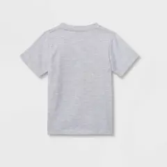 Toddler Boys' Teenage Mutant Ninja Solid T-Shirt - Gray