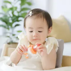 Quark Fruuti Revolutionary Silicone Baby Fruit Feeder