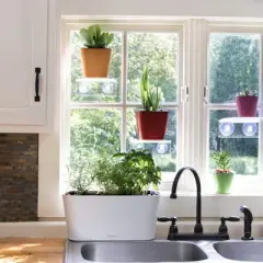 Window Garden Aquaphoric Herb Garden Tub Self Watering Planter Box with 6 Quarts Fiber Soil