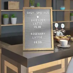 Emma and Oliver Felt Letter Board Set with 389 Letters Including Numbers, Symbols, Icons and a Canvas Carrying Case