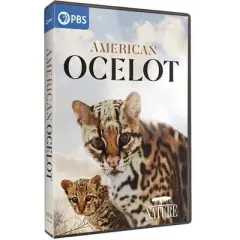 NATURE: American Ocelot (DVD)