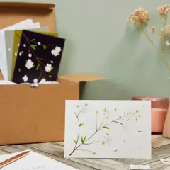 Best Paper Greetings 120 Pack Cherry Blossom Note Cards with Envelopes - Thank You, Wedding, All Occassion Floral Cards (6 Designs, 4x6 In)