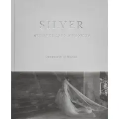 Silver - by  Genevieve de Manio (Hardcover)