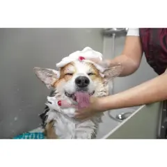 Artero Spektra professional hairstyling trimmers