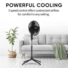 EVO 16" Aromatherapy Stand Fan: Pedestal Fan, 3 Speeds, ETL Listed, Black, for Rooms 100-300 sq. ft.