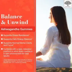 NEW NORDIC Ashwagandha Vegan Gummies - 300 mg Ashwagandha Root Extract , Sugar Free - Adaptogens for Men & Women - Delicious Mango Peach - 60 Gummies