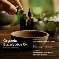 Gya Labs Organic Eucalyptus Essential Oil Eucalyptus Oil Natural Aromatherapy 0.34 Fl Oz