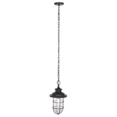 Adelle 9" Outdoor Pendant - PLT7013 - Black - Safavieh