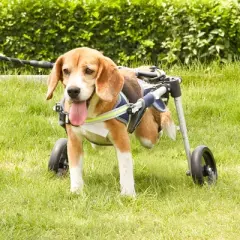 VEVOR 2 Wheels Dog Wheelchair for Back Legs, Pet Wheelchair Lightweight & Adjustable Assisting in Healing,  Dog Cart/Wheelchair (XS)