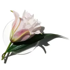 Clinique My&nbsp;Happy&nbsp;Lily Of The Beach Perfume Spray - 0.5 fl oz - Ulta Beauty