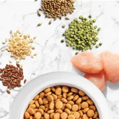 Nutro So Simple Chicken Dry Dog Food