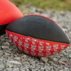 NCAA Kentucky Wildcats Team Football