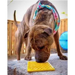 Honeycomb Design Emat Enrichment Lick Mat