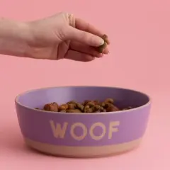 Mason Cash: Woof Dog Bowl, 7.9", 44oz, Purple & Tan, Food & Water Dish