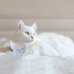 Unique Bargains Cat Collar Light Blue Light Pink 2 Pcs