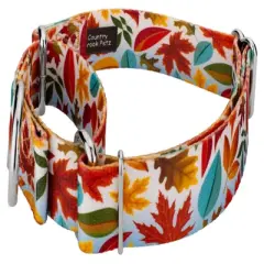 Country Brook Petz 1 1/2 Inch Brisk Autumn Martingale Dog Collar