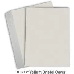 Hamilco Colored Cardstock Paper Gray Bristol Vellum Card Stock for Scrapbook Craft 11 x 17" - 67lb Cover for Printer - 25 Pack