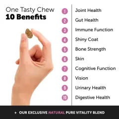 Pet Honesty 10 in 1 Multivitamin Glucosamine Soft Chews for Dogs, 90 Ct