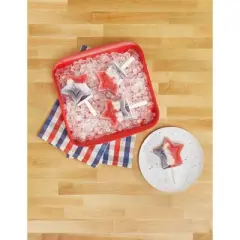 Tovolo 10" Marinade Tray with Lid: 3.5 Volume, Red Plastic, Dishwasher-Safe, Food Storage Container, 21.5" Width