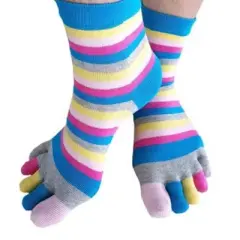 Rainbow Striped Pattern Toe Socks from the Sock Panda (Women's Sizes, Adult Medium)