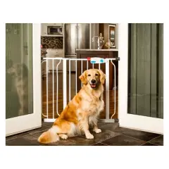 Carlson Extra Wide Cat and Dog Gate with Small Door