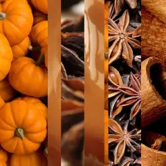 Glade PlugIns Scented Oil Air Freshener - Golden Pumpkin & Spice Refill - 3.35oz/5pk