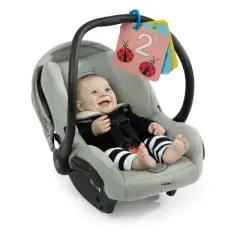 Baby Einstein Discover Garden Tummy Time Baby Playmat and Mirror