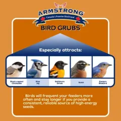 Armstrong Wild Bird Food Mealworm Alternative Bird Grubs