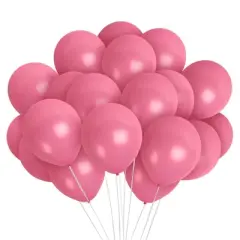 Treasures Gifted Rose Pink Balloons - 12 Inch Latex Balloons - 100 Pack