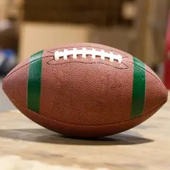 NCAA LSU Tigers Team Stripe Official-Size Composite Football