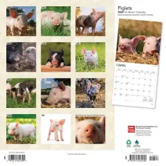 Browntrout 2024 Wall Calendar 12"x12" Piglets
