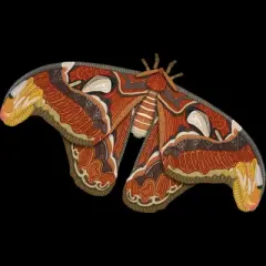 Junior's Design By Humans Atlas Moth By myartlovepassion T-Shirt