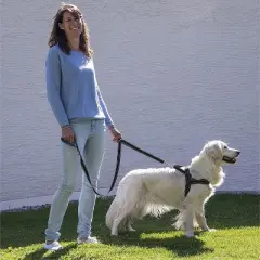 Happilax Adjustable Norwegian No Pull Dog Harness, Medium