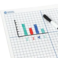 Learning Resources Set of 10 9"x 11" Double Sided X-Y Axis Dry Erase Mats Math Teaching Aids Ages 6plus: Plastic, Kindergarten