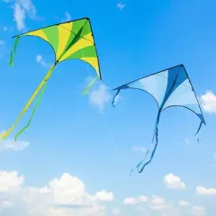 SYNCFUN 3 Packs Large Delta Kite Green, Blue and Rainbow, Easy to Fly Huge Kites for Kids with 262.5 ft Kite String for Outdoor Games