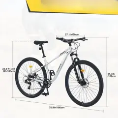 INFURNIC Bicycles, 29 Inch Mountain Bike for Women and Men, 8 Speed Mountain Bike, Silver, 70.8"*27.1"*41.7"