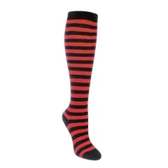 Thin Striped Pattern Knee High Socks from the Sock Panda (Women's Sizes, Adult Medium)