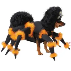 California Costumes Spider Pup Pet Costume, Medium